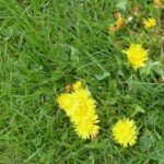 Egzamin maturalny 2015