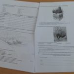 Najlepsi geografowie w szkole