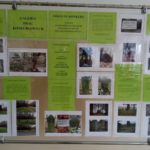 Szkolny Konkurs Fotograficzny