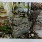 Szkolny Konkurs Fotograficzny