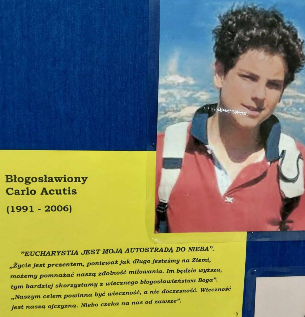 380267180 782106083684864 2561074238970488074 N