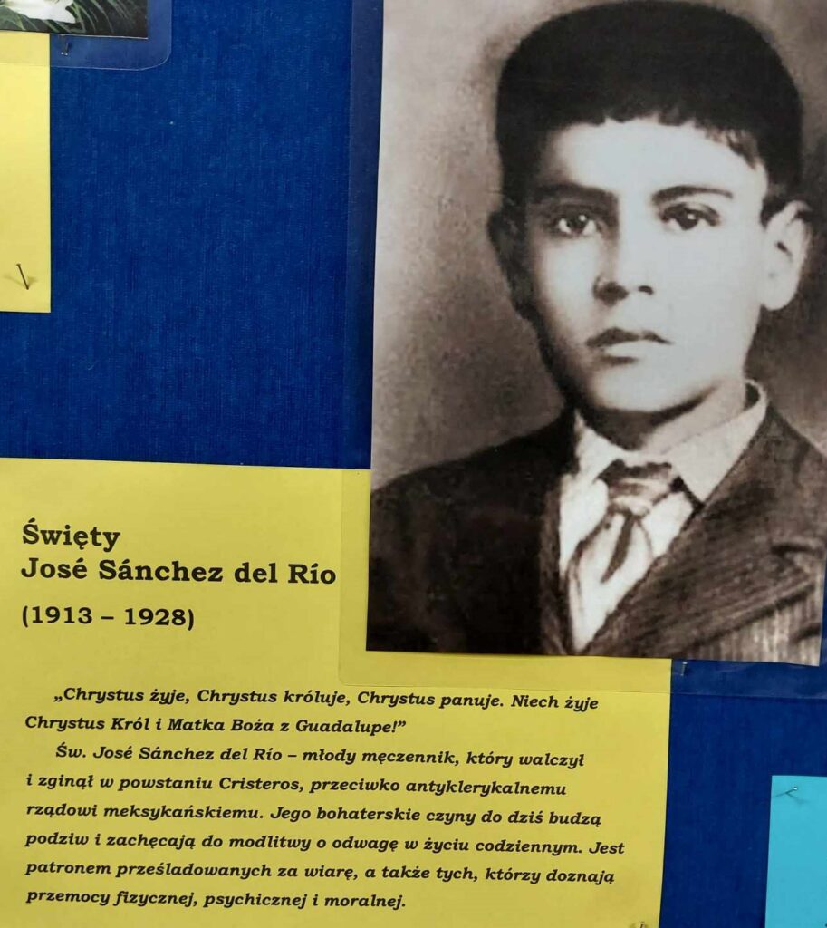 380494822 1732076757236334 6056358619149096073 N