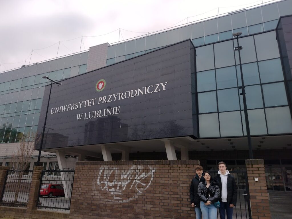 Img 20240215 145138911