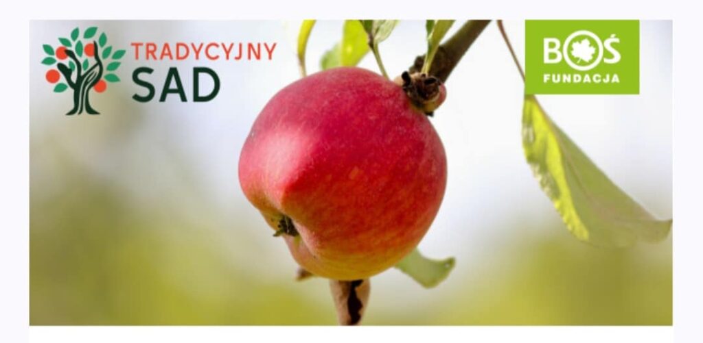 434460488 935521751910623 5769042264559488529 N