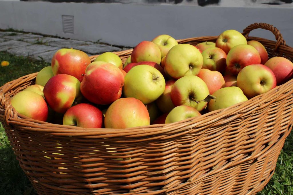 435300505 934522742010524 4540299527722862687 N