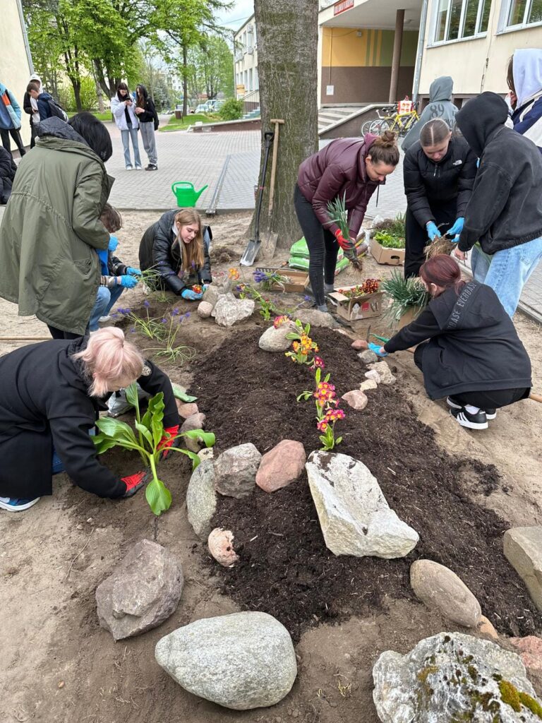 437803546 940288588100606 2839101979096775235 N