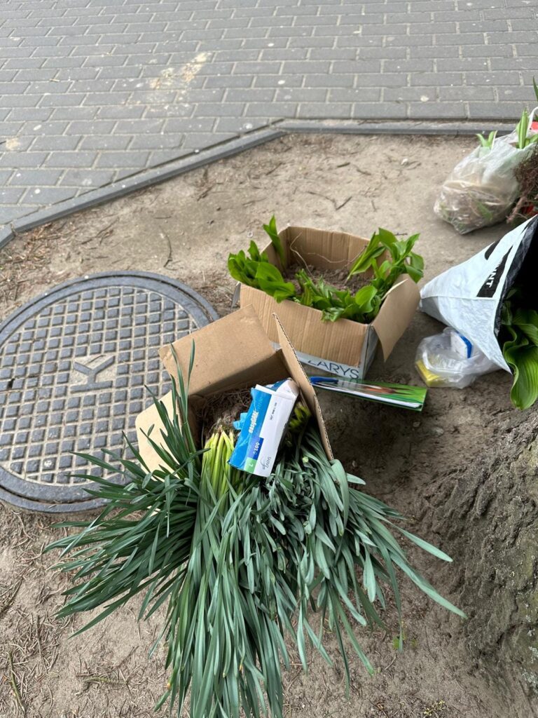 438862394 940288954767236 3393404675214171792 N