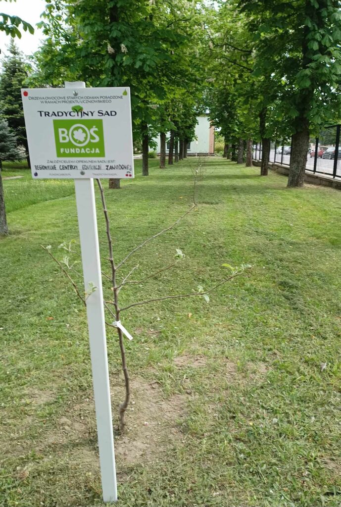 441253578 957322873063844 4512646975055439449 N