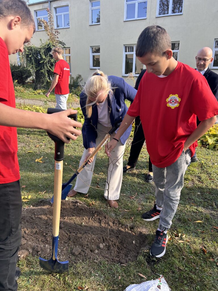 Rcez W Akcji zasadźmy 550 Drzew (12)