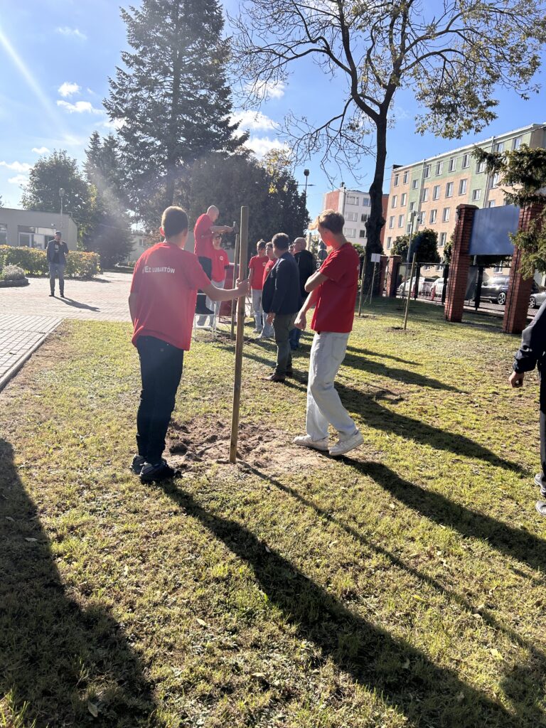 Rcez W Akcji zasadźmy 550 Drzew (4)