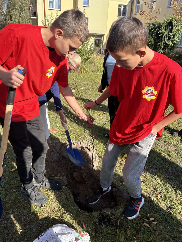 Rcez W Akcji zasadźmy 550 Drzew (9)