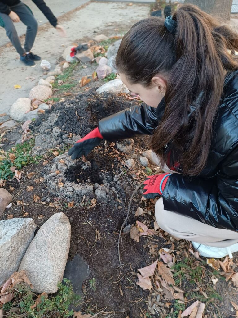 Img 20241104 144255852