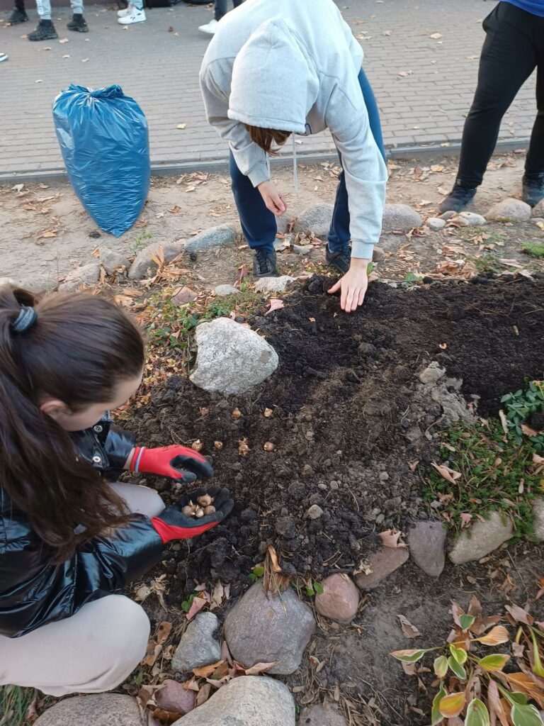 Img 20241104 144611569