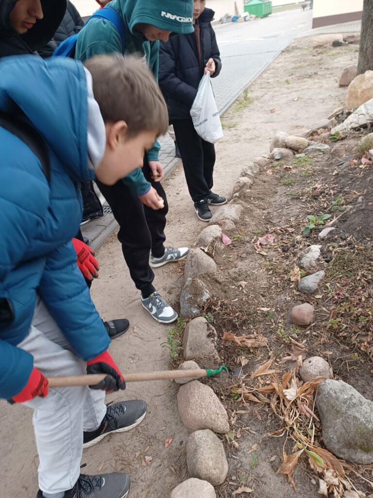 Img 20241107 115841170(1)