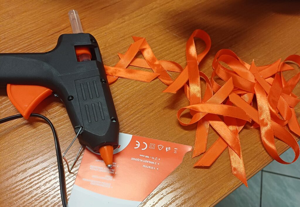 Kampanii 19 Dni W Polsce Rcez (13)