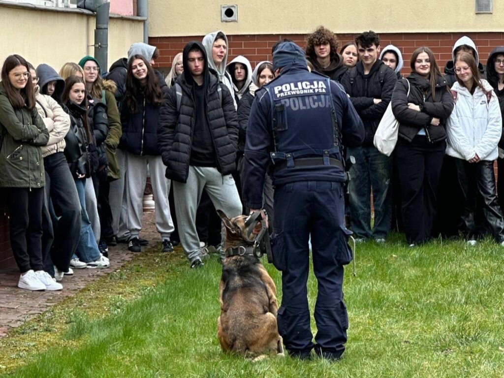 490022742 1216671827128946 8082540841284979697 n