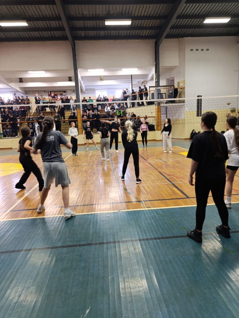 Mistrzostwa Szkoły w Piłce Siatkowej o Puchar Dyrektora Szkoły