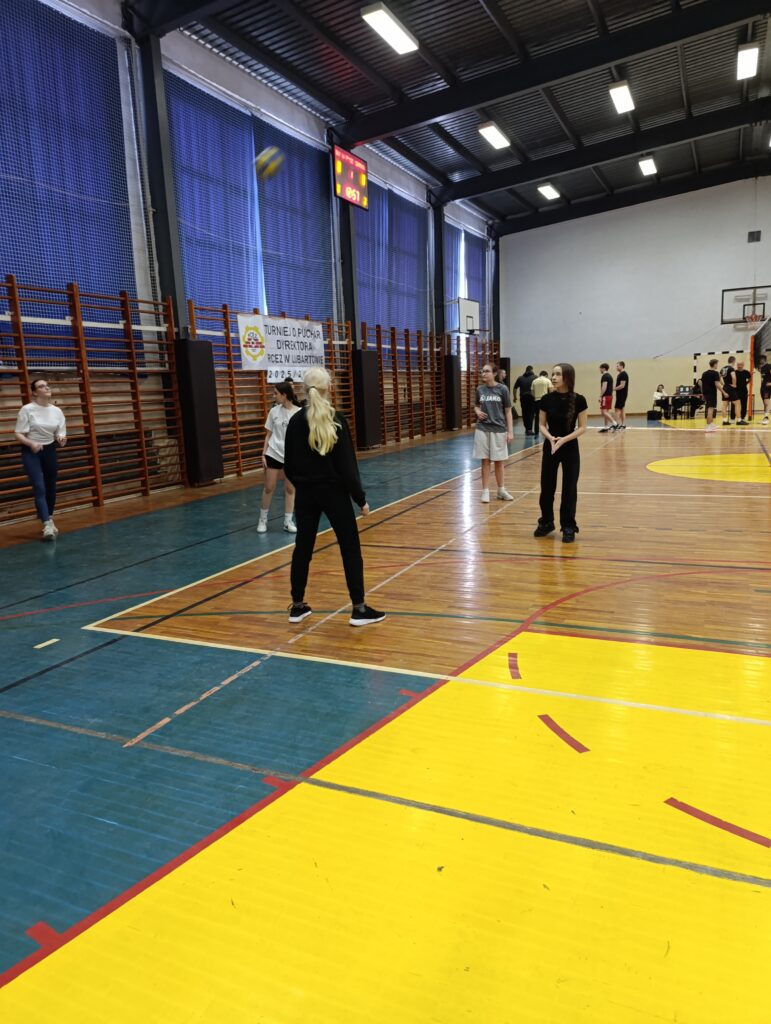 Mistrzostwa Szkoły w Piłce Siatkowej o Puchar Dyrektora Szkoły