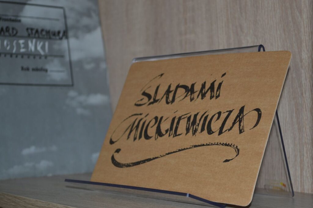 Rcez monter robo wykonczeniowych bs