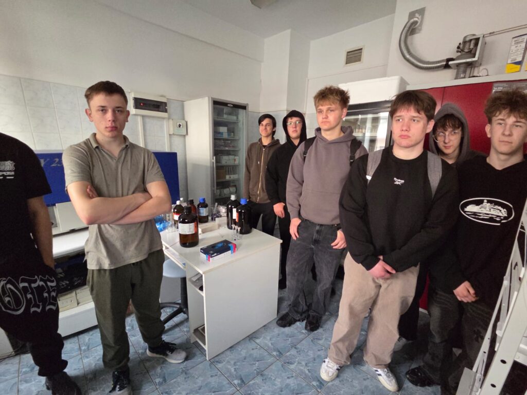 Projekt 10.01 Kształcenie zawodowe w Powiecie Lubartowskim