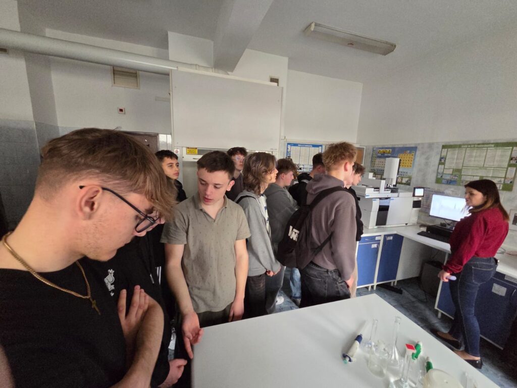 Projekt 10.01 Kształcenie zawodowe w Powiecie Lubartowskim