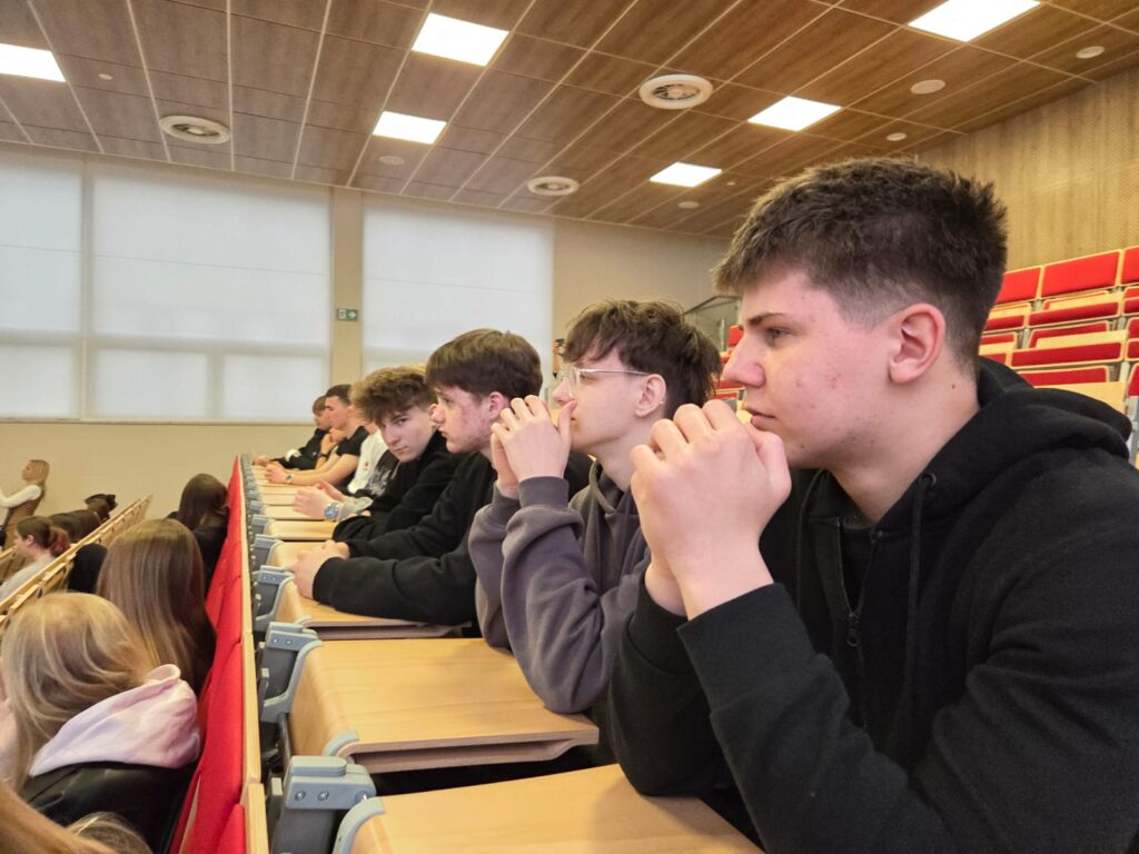 Projekt 10.01 Kształcenie zawodowe w Powiecie Lubartowskim