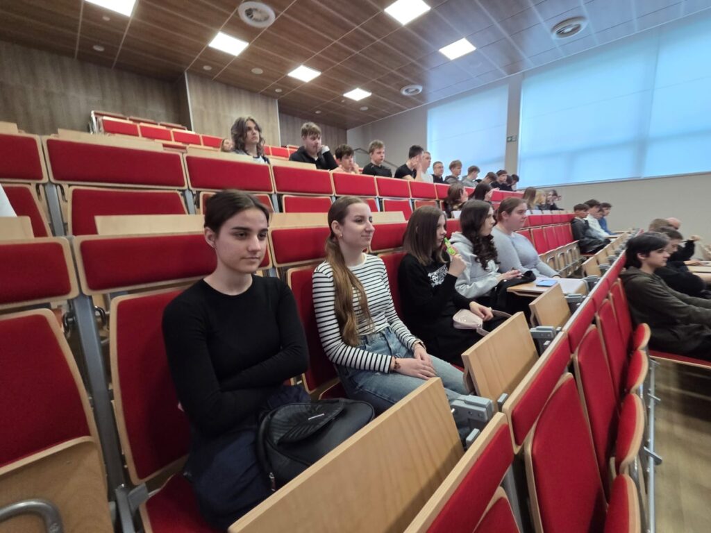 Projekt 10.01 Kształcenie zawodowe w Powiecie Lubartowskim