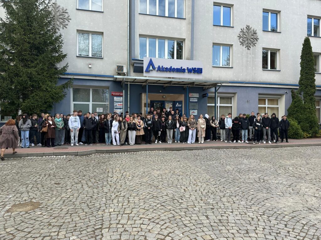 Projekt 10.01 Kształcenie zawodowe w Powiecie Lubartowskim