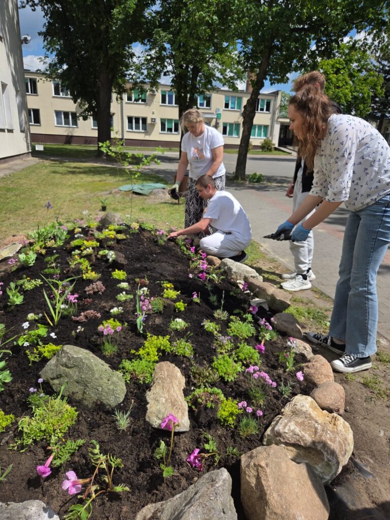 Nowy skalniak ozdobą naszej szkoły!